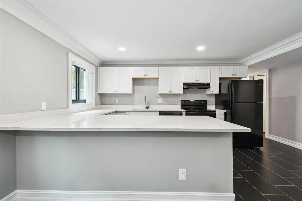 2942 W BAY DRIVE #8 Belleair Bluffs, FL 33770
