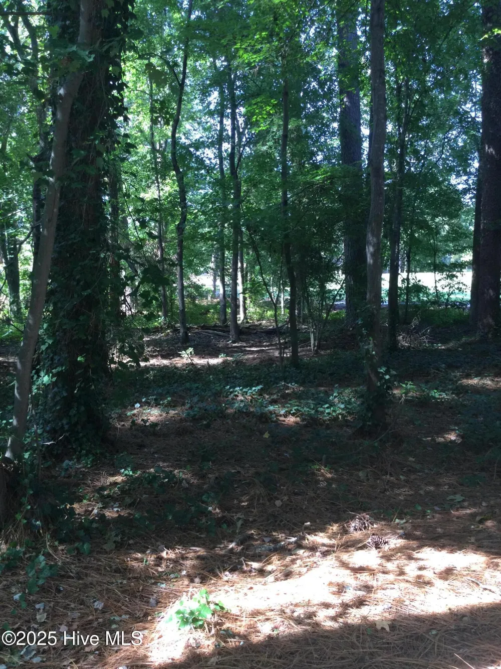 3 Belair Place Pinehurst, NC 28374