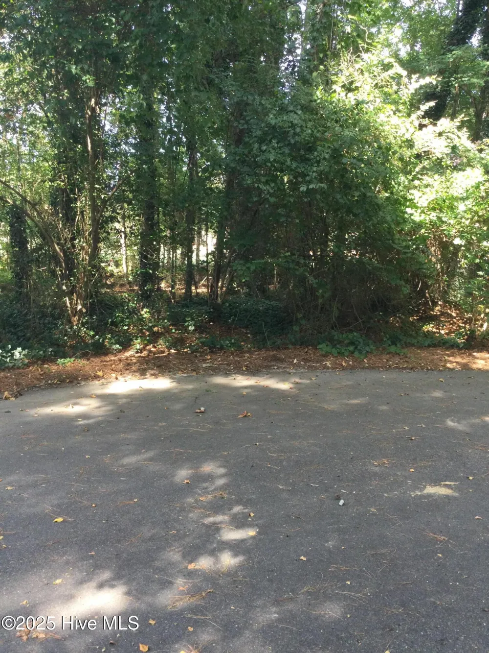 3 Belair Place Pinehurst, NC 28374