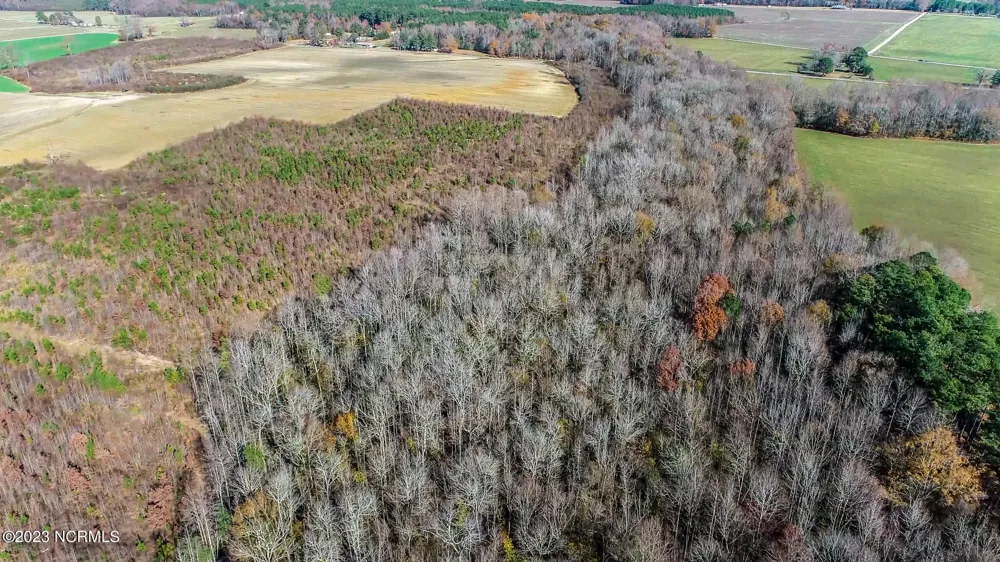0 Moonlight Road Scotland Neck, NC 27874