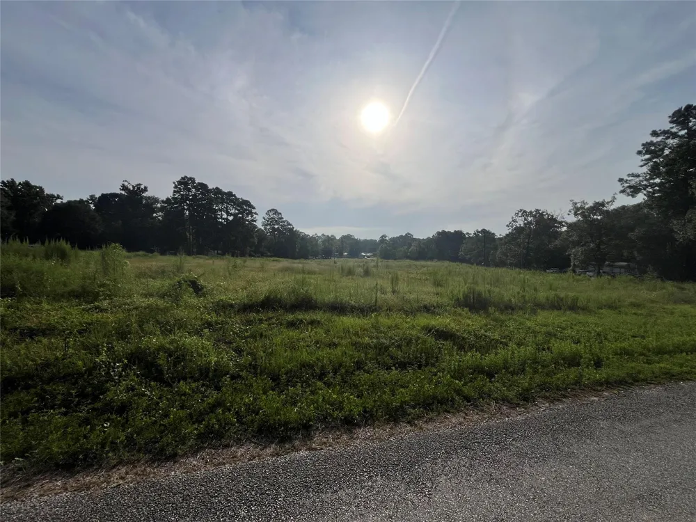 50 Paula Sue Avenue Shepherd, TX 77371
