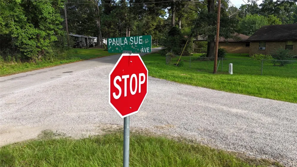 50 Paula Sue Avenue Shepherd, TX 77371