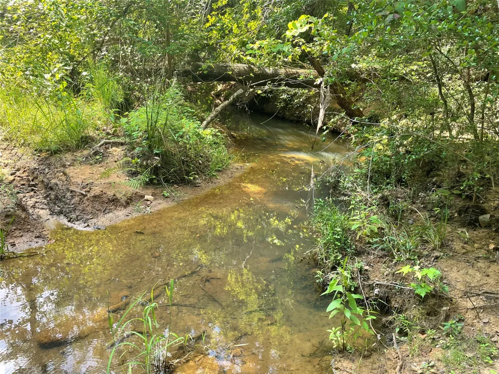 649 An County Road 1215 Grapeland, TX 75844