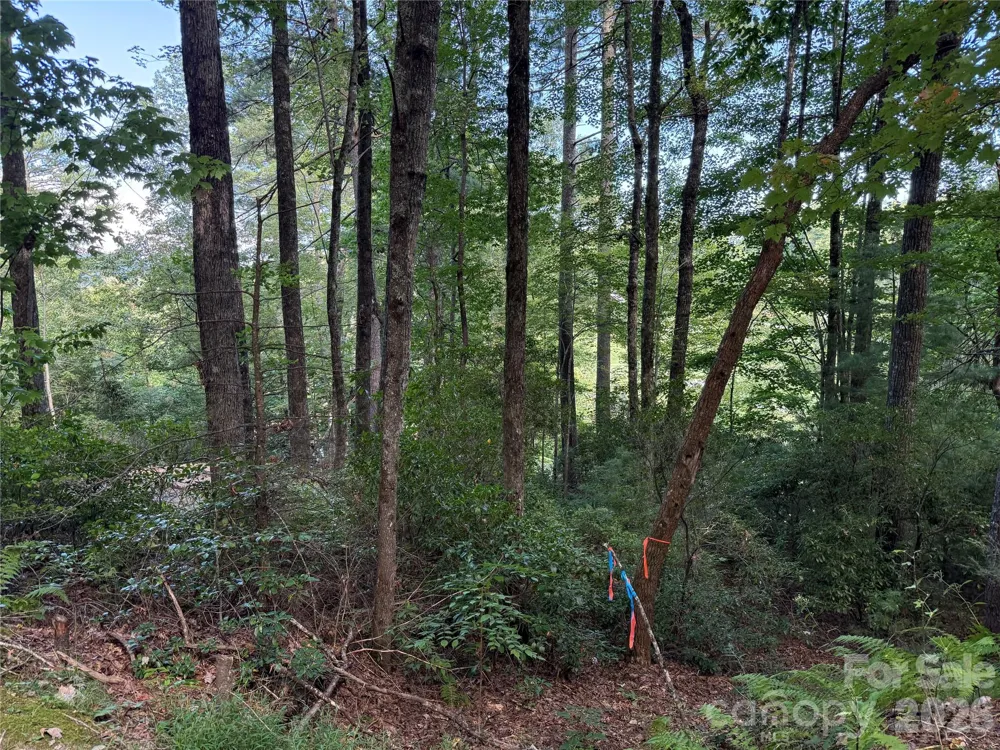 D51-52 North Club Boulevard #D51-52 Lake Toxaway, NC 28747
