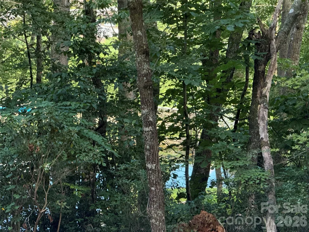 D51-52 North Club Boulevard #D51-52 Lake Toxaway, NC 28747
