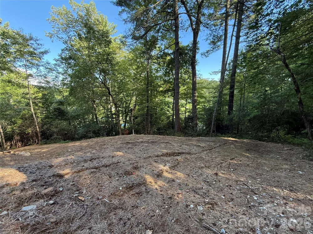D51-52 North Club Boulevard #D51-52 Lake Toxaway, NC 28747