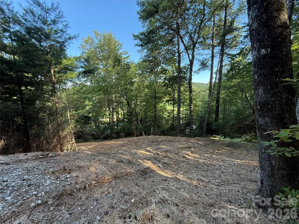 D51-52 North Club Boulevard #D51-52 Lake Toxaway, NC 28747