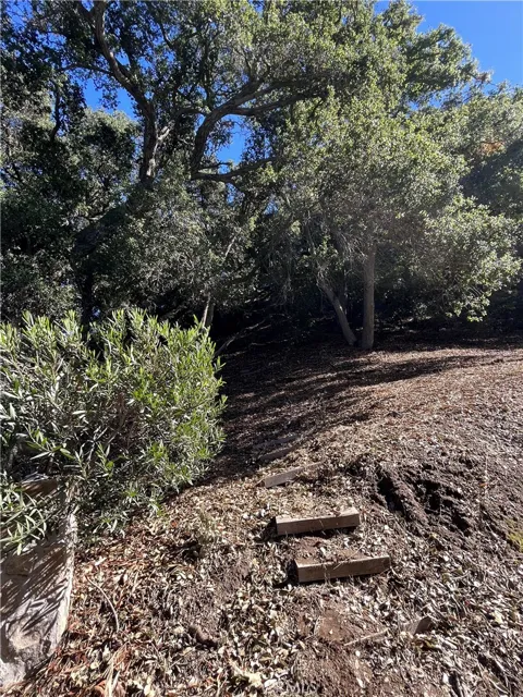 Old Topanga Canyon Rd
