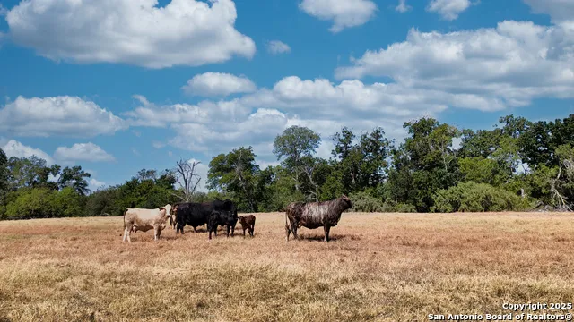 000 State Hwy 80 S Luling, TX 78648