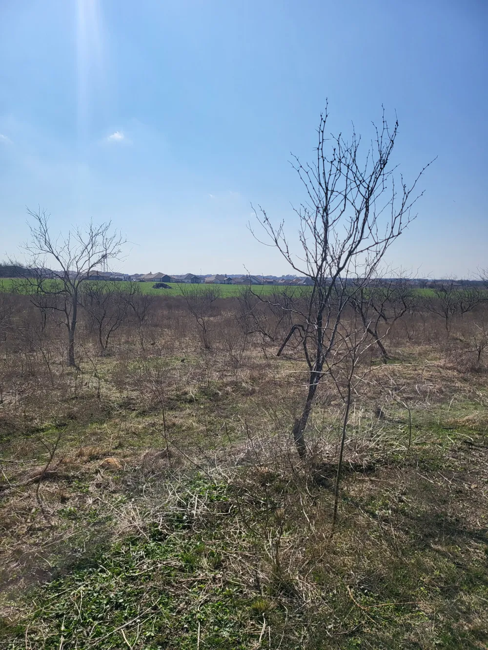 1051 1st Street Jarrell, TX 76537