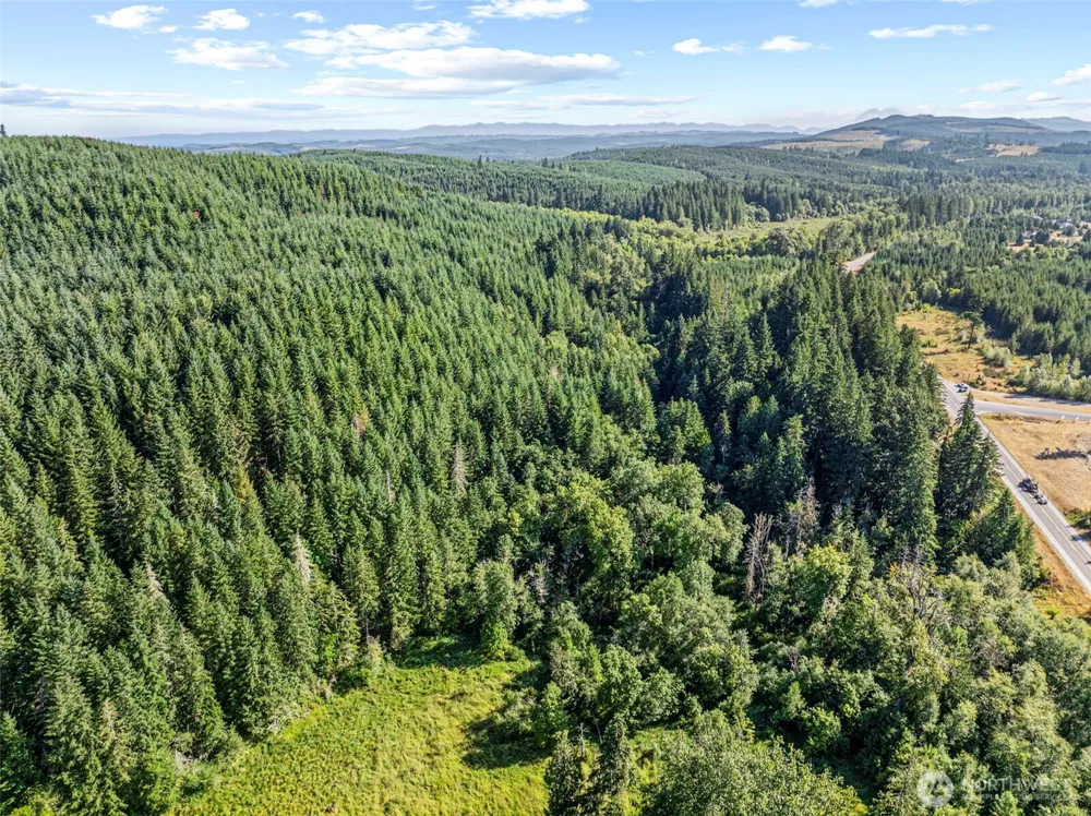 0 NKA Tower Road Toutle, WA 98649
