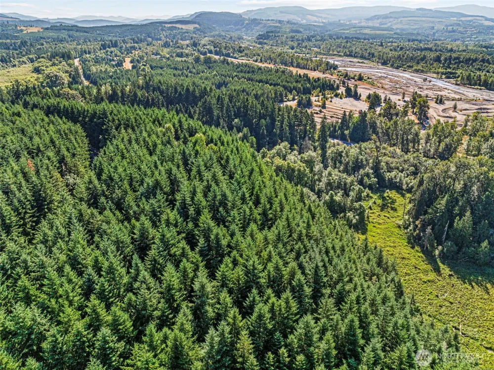 0 NKA Tower Road Toutle, WA 98649