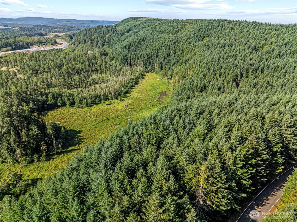 0 NKA Tower Road Toutle, WA 98649