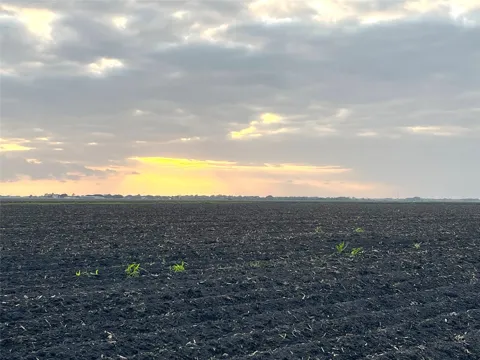 County Rd 460