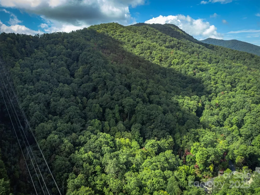 66 Sisters View Drive #159 Black Mountain, NC 28711