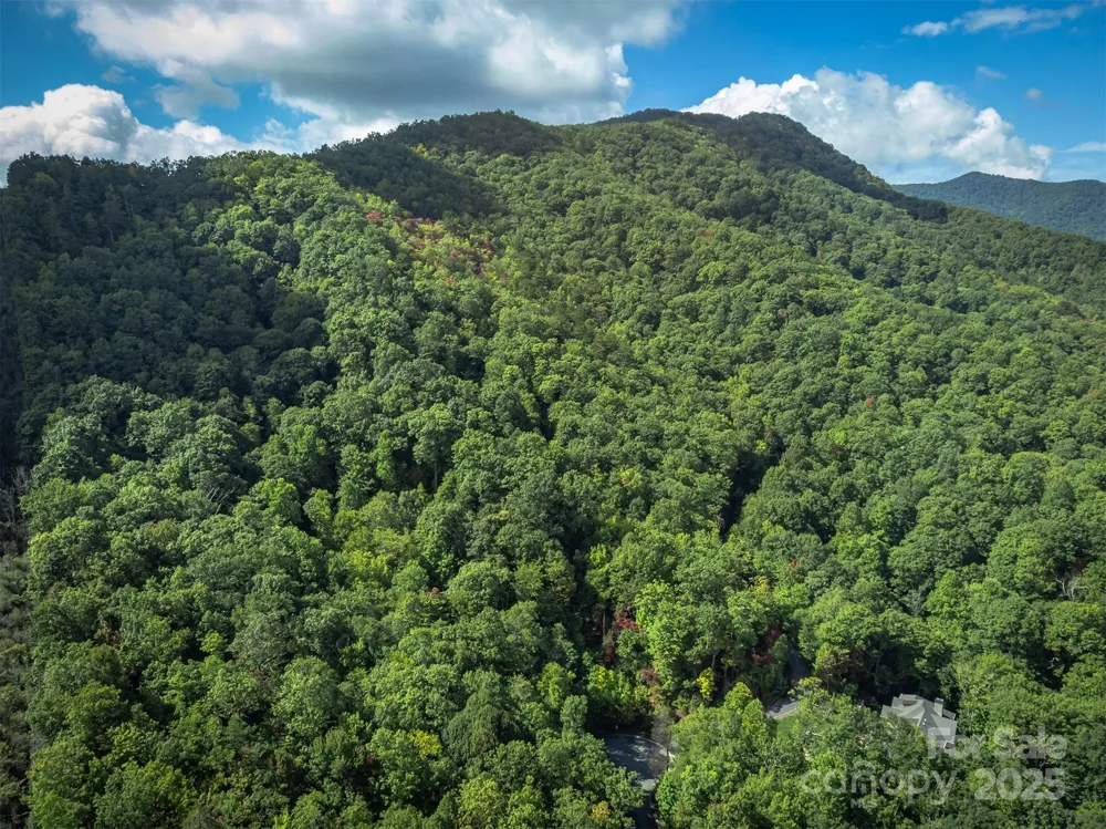 66 Sisters View Drive #159 Black Mountain, NC 28711