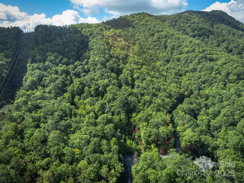 66 Sisters View Drive #159 Black Mountain, NC 28711