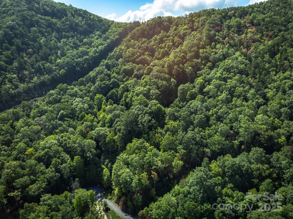 66 Sisters View Drive #159 Black Mountain, NC 28711