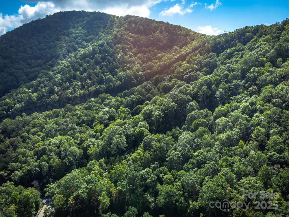 66 Sisters View Drive #159 Black Mountain, NC 28711