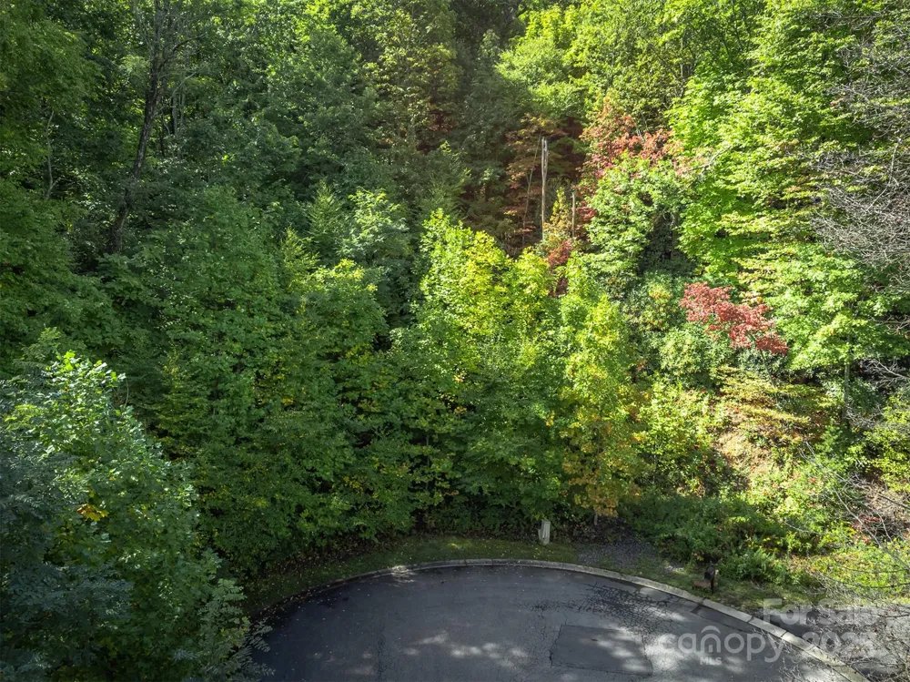66 Sisters View Drive #159 Black Mountain, NC 28711