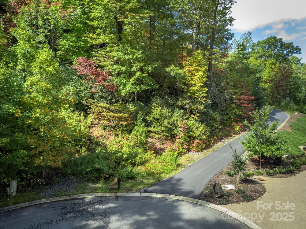 66 Sisters View Drive #159 Black Mountain, NC 28711