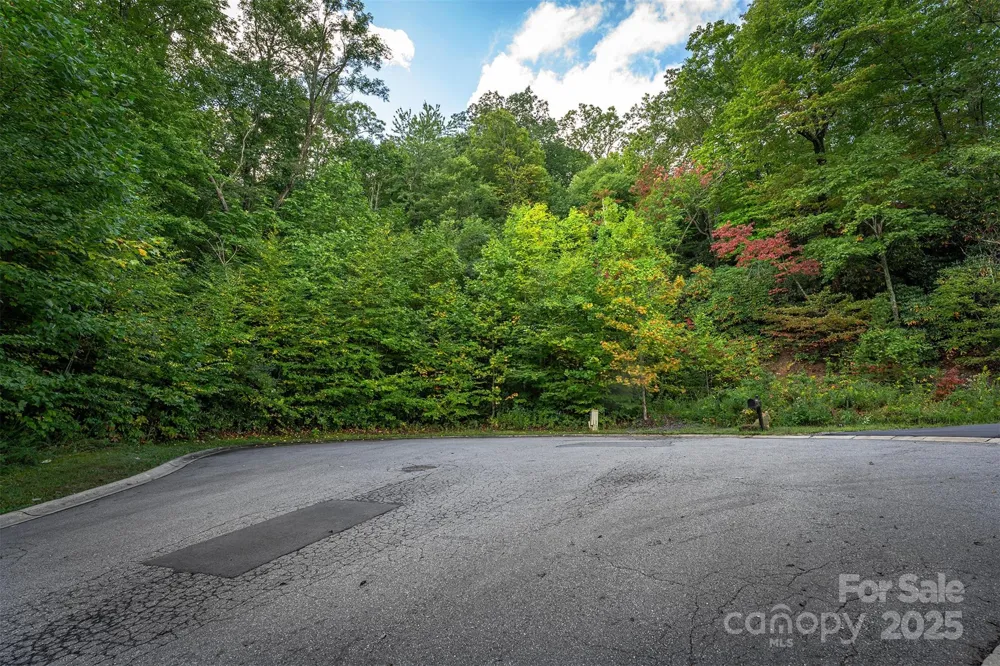 66 Sisters View Drive #159 Black Mountain, NC 28711