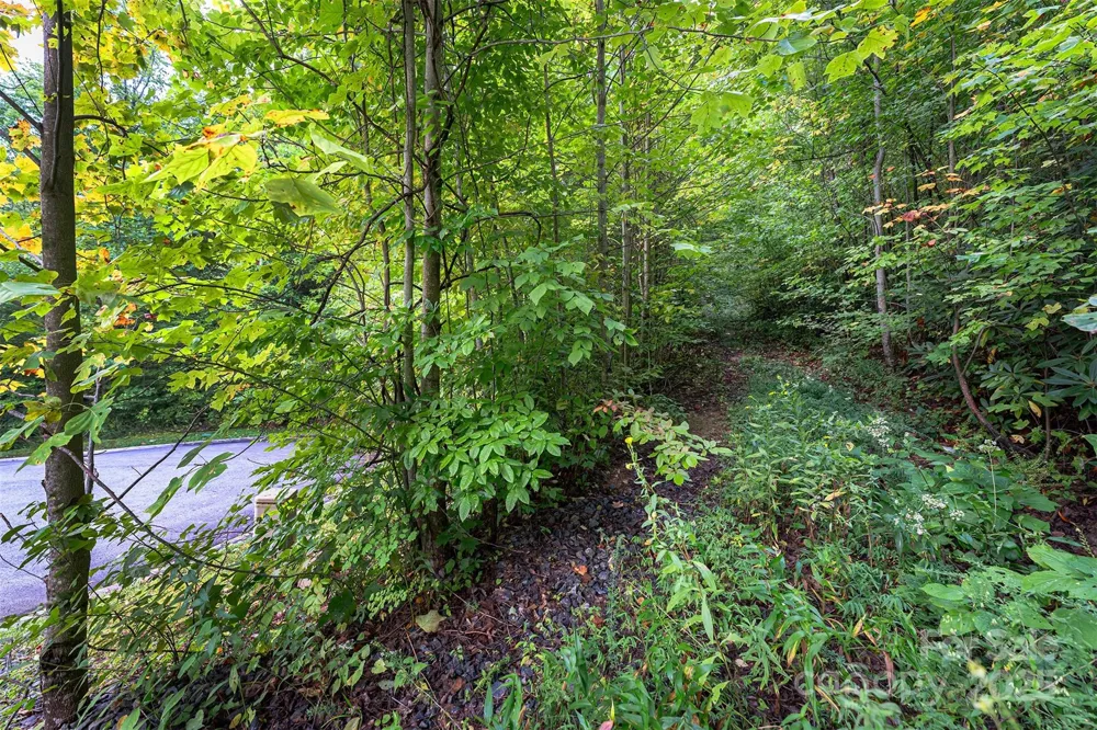 66 Sisters View Drive #159 Black Mountain, NC 28711