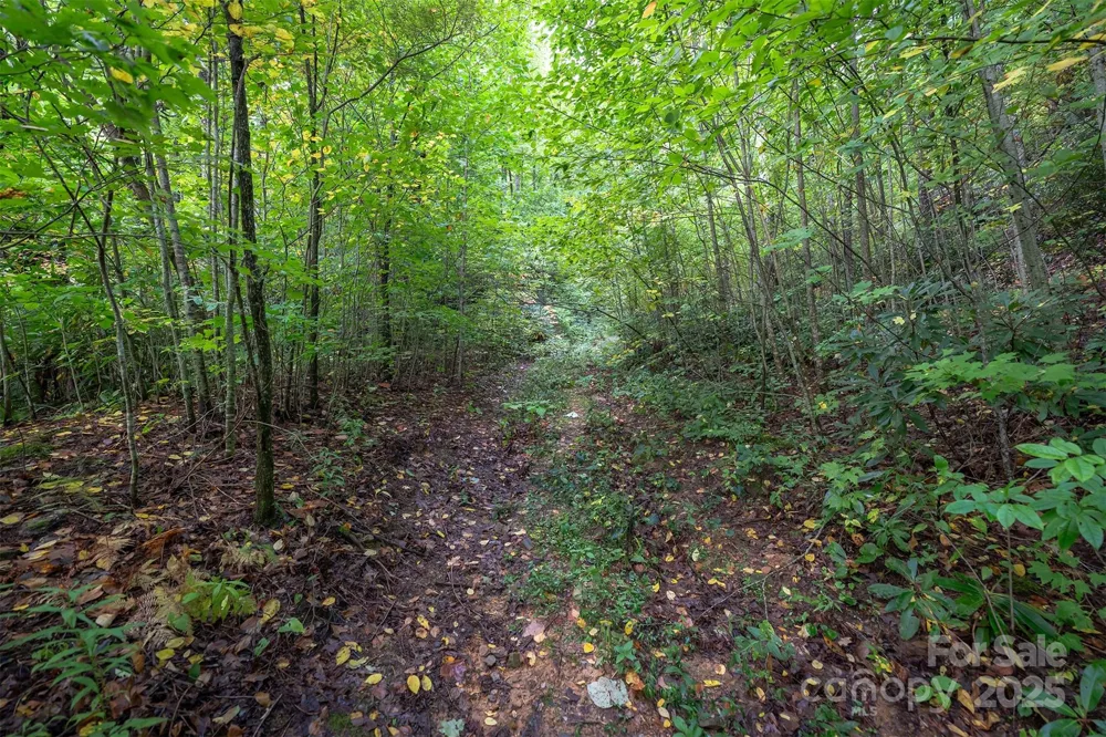 66 Sisters View Drive #159 Black Mountain, NC 28711