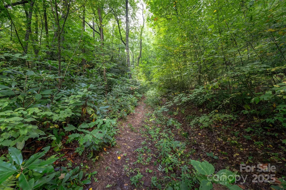 66 Sisters View Drive #159 Black Mountain, NC 28711