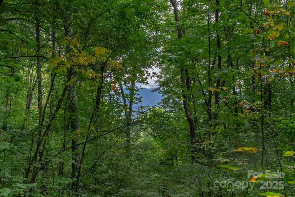 66 Sisters View Drive #159 Black Mountain, NC 28711