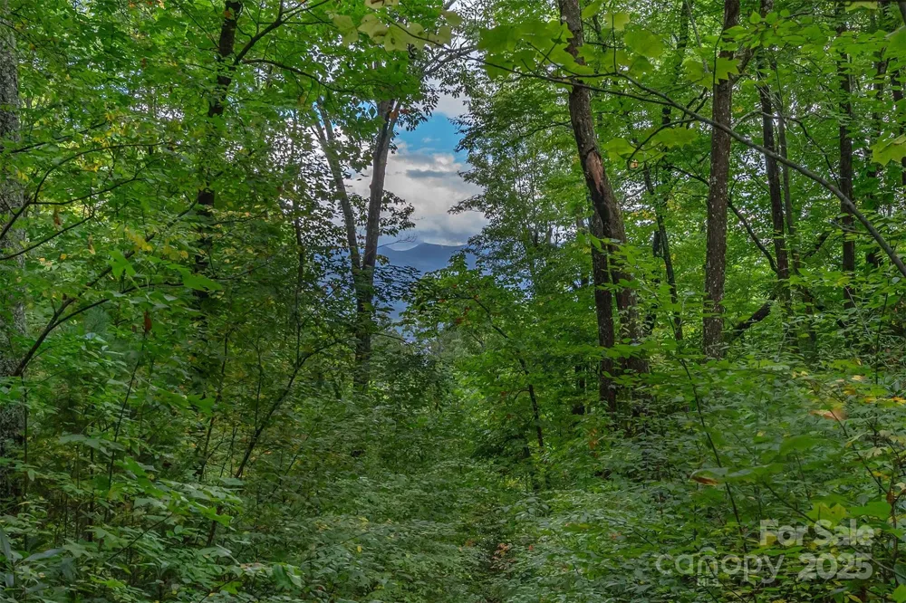 66 Sisters View Drive #159 Black Mountain, NC 28711