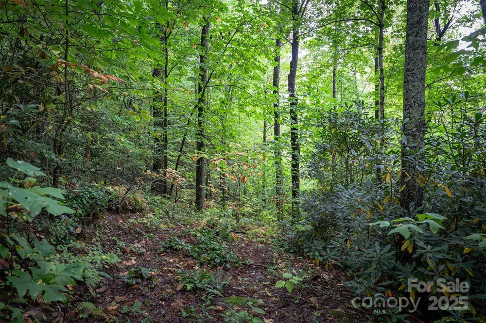 66 Sisters View Drive #159 Black Mountain, NC 28711