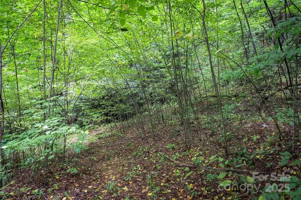 66 Sisters View Drive #159 Black Mountain, NC 28711
