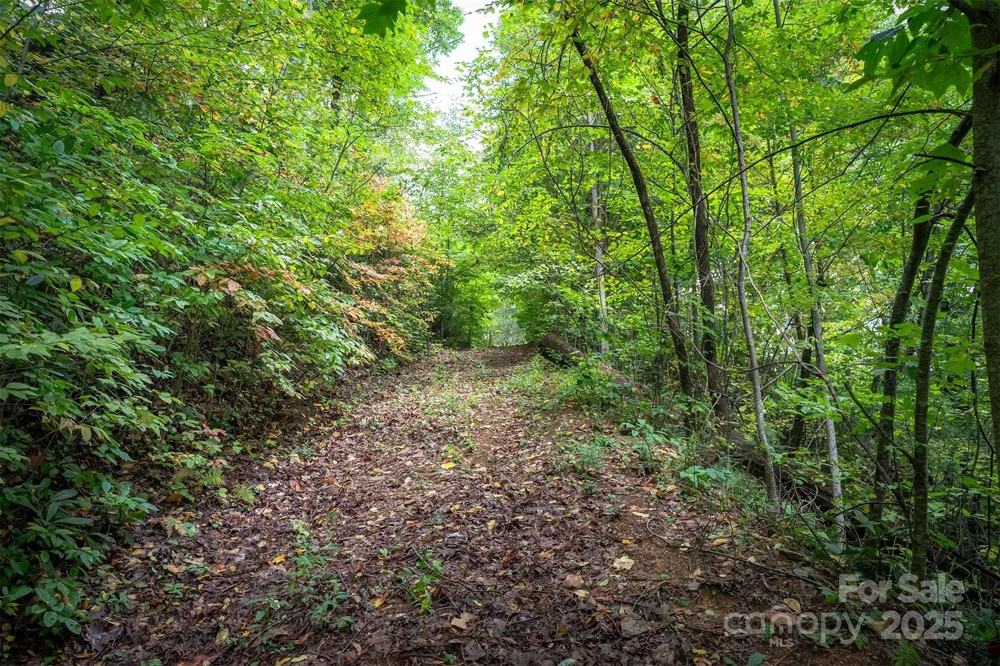 66 Sisters View Drive #159 Black Mountain, NC 28711