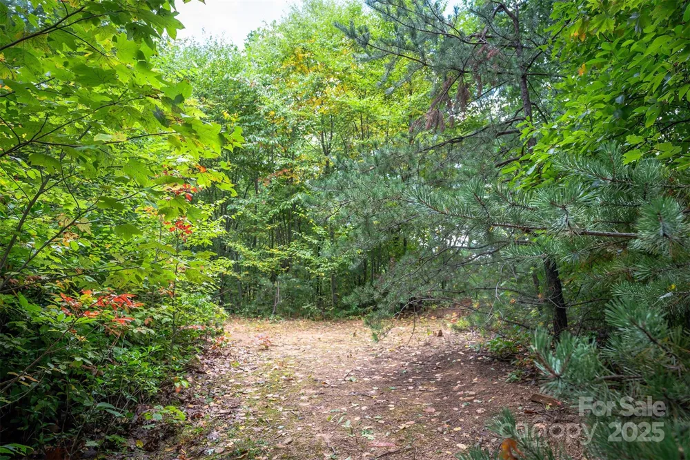 66 Sisters View Drive #159 Black Mountain, NC 28711