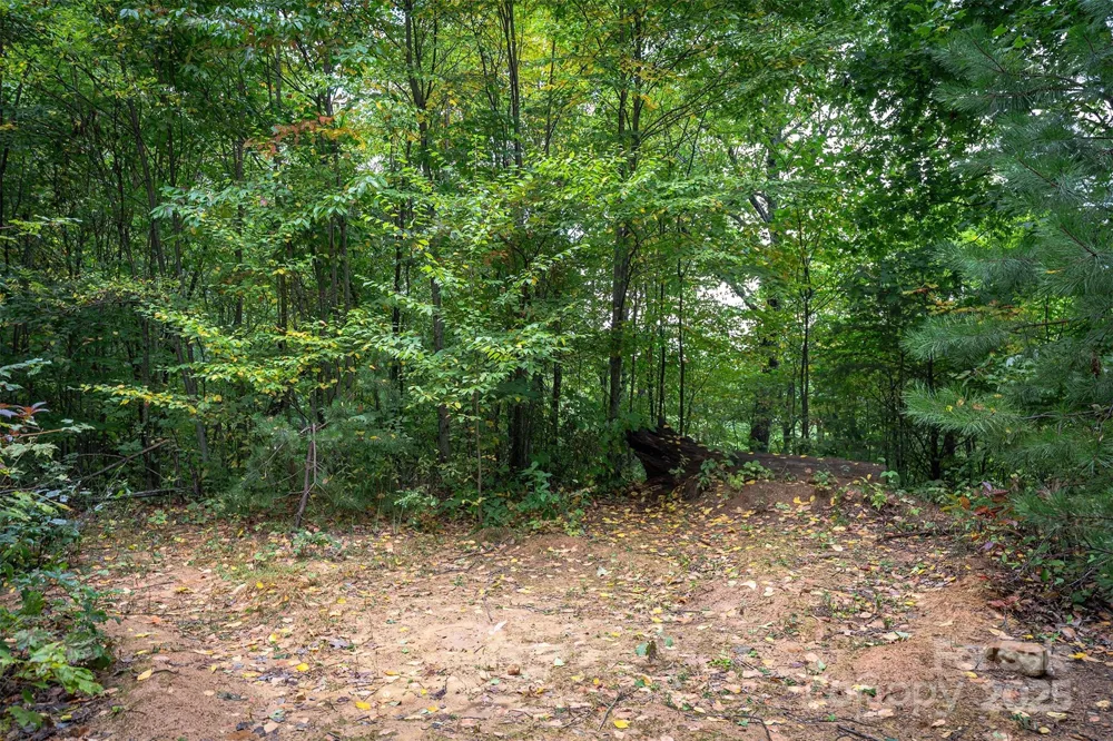 66 Sisters View Drive #159 Black Mountain, NC 28711