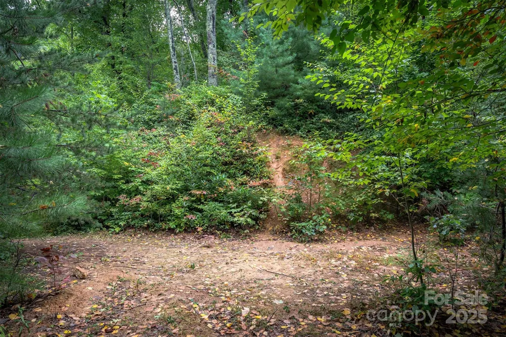 66 Sisters View Drive #159 Black Mountain, NC 28711