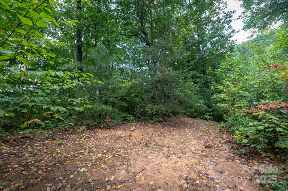 66 Sisters View Drive #159 Black Mountain, NC 28711
