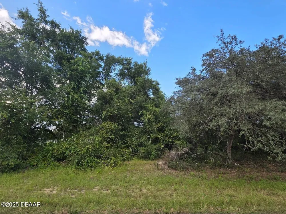 SW 166th Street SW ocala, FL 34473