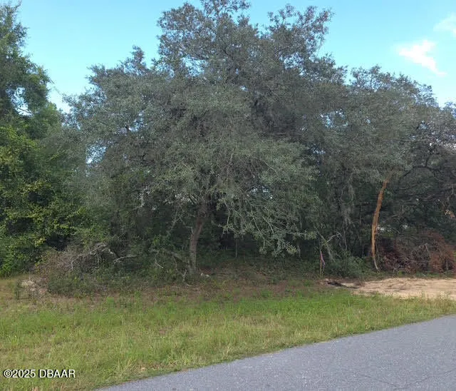 SW 166th Street SW ocala, FL 34473