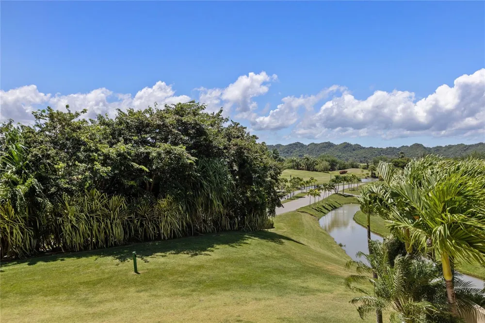 500 PLANTATION DRIVE #3-202 Dorado, PR 00646