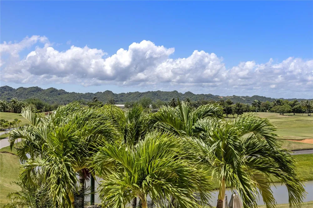500 PLANTATION DRIVE #3-202 Dorado, PR 00646