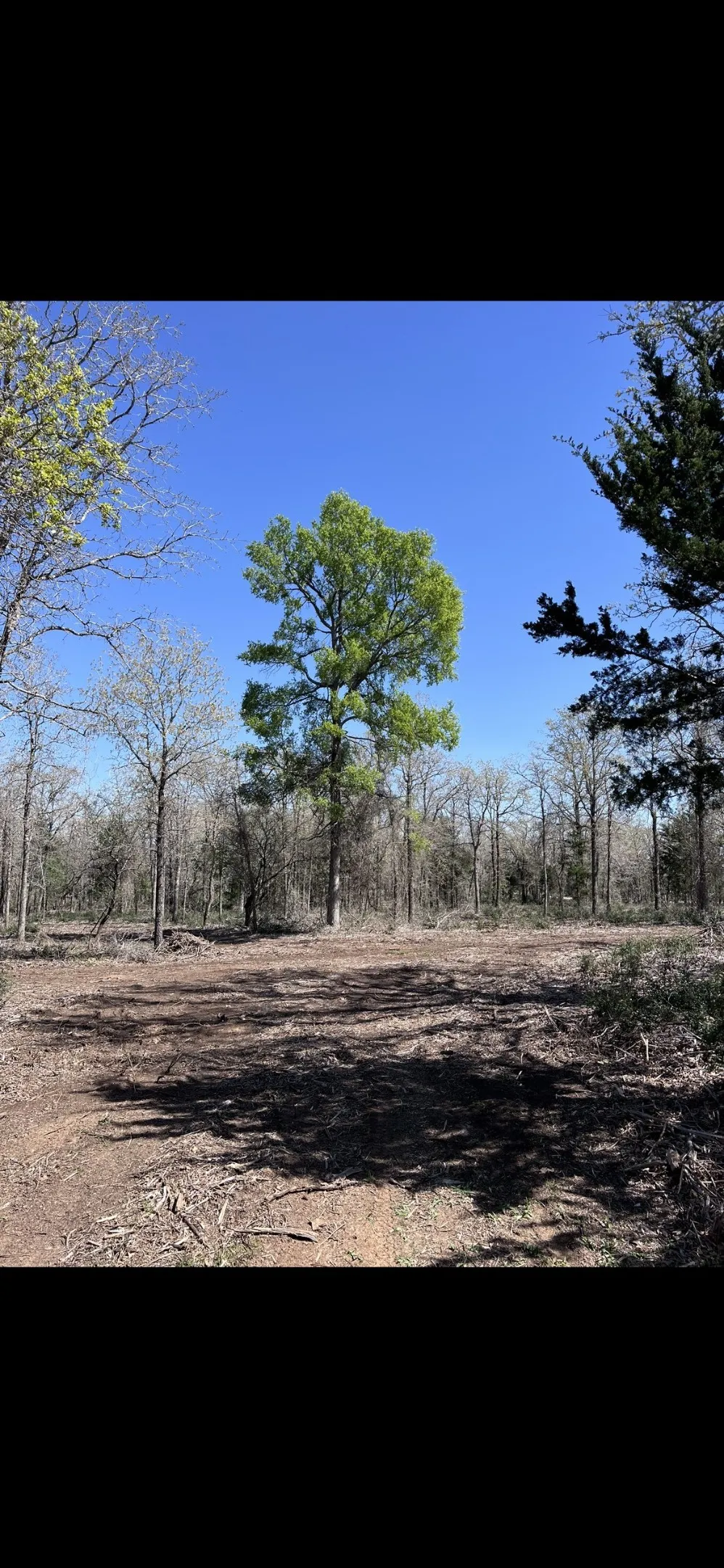 1304 Walleye Creek Trail Street Lexington, TX 78947