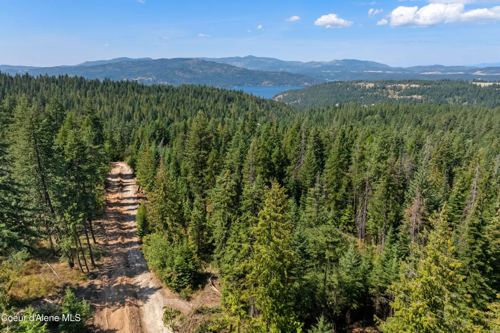 2300 S DUNLAP ROAD Harrison, ID 83833