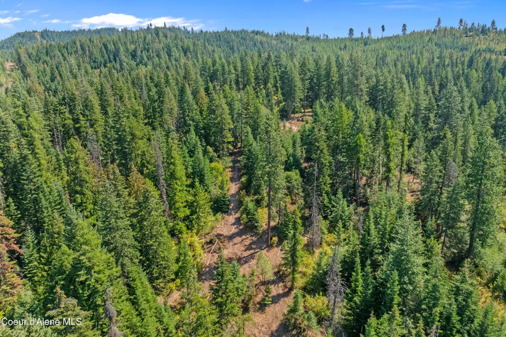 2300 S DUNLAP ROAD Harrison, ID 83833