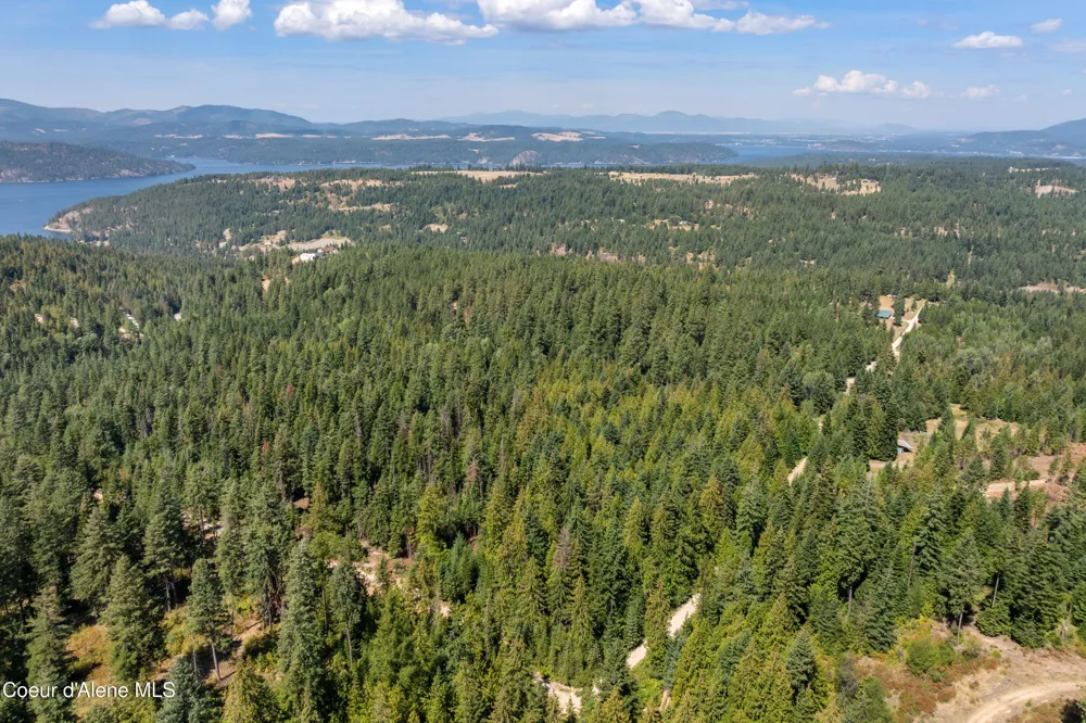 2300 S DUNLAP ROAD Harrison, ID 83833
