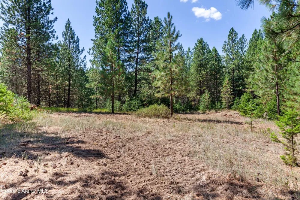 2300 S DUNLAP ROAD Harrison, ID 83833