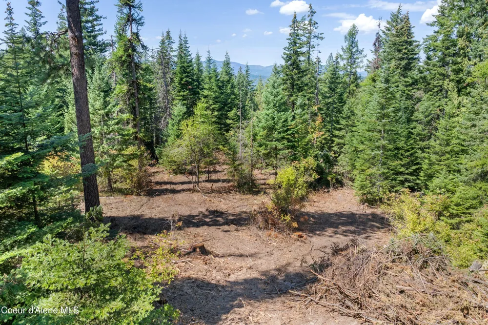2300 S DUNLAP ROAD Harrison, ID 83833