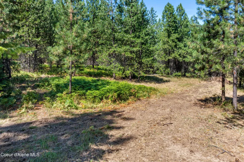 2300 S DUNLAP ROAD Harrison, ID 83833