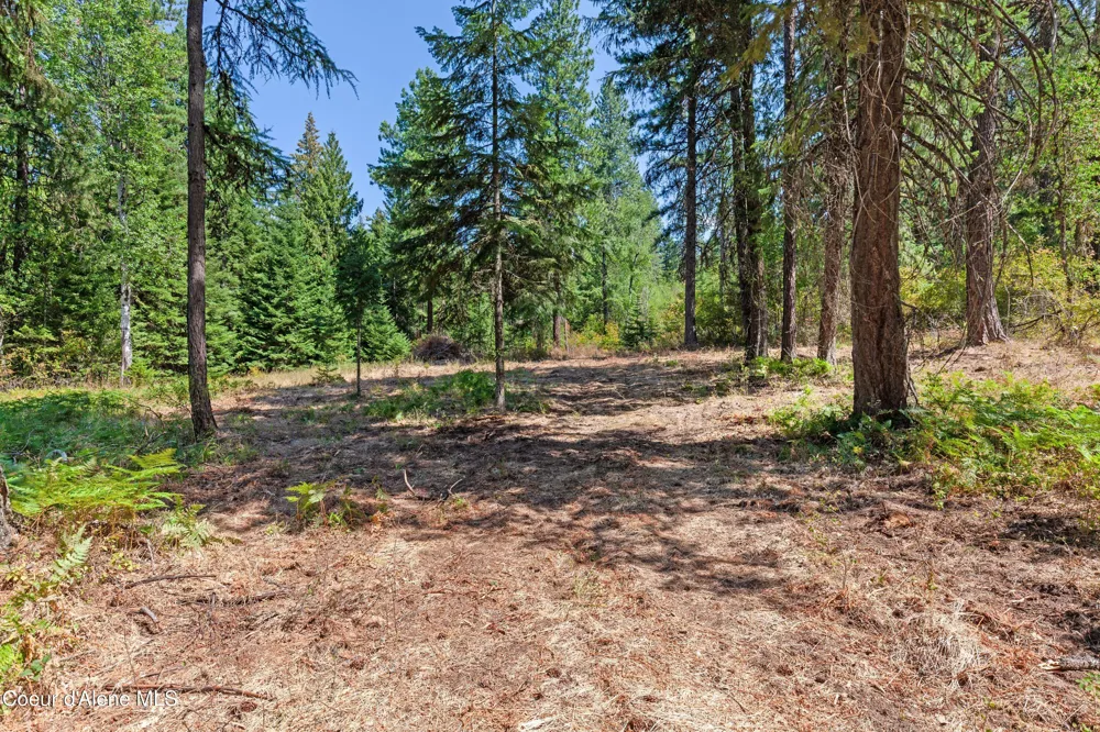 2300 S DUNLAP ROAD Harrison, ID 83833